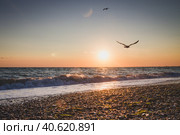 Beautiful sunset on the summer sea. Стоковое фото, фотограф Виктория Подгорная / Фотобанк Лори