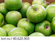 Apples in the supermarket. Стоковое фото, фотограф Виктория Подгорная / Фотобанк Лори