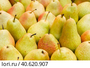 Delicious ripe pear in the store on the counter. Стоковое фото, фотограф Виктория Подгорная / Фотобанк Лори