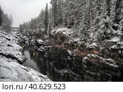 River Canyon and rocks in winter. Стоковое фото, фотограф Анна Кривицкая / Фотобанк Лори