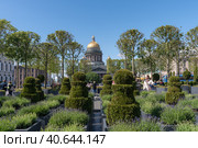 Временный сад-трансформер на Синем мосту возле Мариинского дворца. Санкт-Петербург (2023 год). Редакционное фото, фотограф Румянцева Наталия / Фотобанк Лори