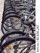 Russia, St. Petersburg 09,03,2015Bicycles for sale in a sporting goods store. Редакционное фото, фотограф Анна Кривицкая / Фотобанк Лори
