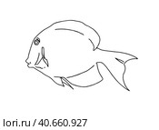 Fish sea animal that swims in the water doodle linear cartoon coloring. Стоковая иллюстрация, иллюстратор Вахминцева Ольга / Фотобанк Лори