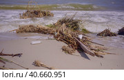 Floating debris has reached Black Sea beaches in Odessa, Ukraine. Environmental disaster caused by the explosion of Kakhovka Hydroelectric Power Plant dam, wide-angle. Стоковое фото, фотограф Некрасов Андрей / Фотобанк Лори