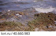 Close-up of floating debris has reached Black Sea beaches in Odessa, Ukraine. Environmental disaster caused by the explosion of Kakhovka Hydroelectric Power Plant dam. Стоковое фото, фотограф Некрасов Андрей / Фотобанк Лори