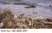 Plastic and other drifting debris has reached Black Sea beaches in Odessa, Ukraine. Environmental disaster caused by the explosion of Kakhovka Hydroelectric Power Plant dam, Close-up. Стоковое фото, фотограф Некрасов Андрей / Фотобанк Лори