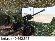 Волгоградская область, Средняя Ахтуба, Россия. Военная реконструкция, дивизионная пушка ЗИС-3 на замаскированной огневой позиции в парке Патриот, эпизод Сталинградской битвы. (2021 год). Редакционное фото, фотограф Андрей Цыганков / Фотобанк Лори