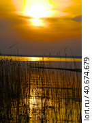 Sunset over the forest lake. Стоковое фото, фотограф Анна Кривицкая / Фотобанк Лори