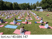 Йога в городском парке в Царицыно (2023 год). Редакционное фото, фотограф Сергей Никифоров-Гордеев / Фотобанк Лори