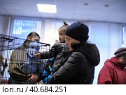 St. Petersburg, Russia 26.10.2013    The Way Home - show the distribution of animal shelter Rzhevka, Редакционное фото, фотограф Анна Кривицкая / Фотобанк Лори
