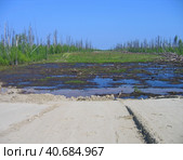 backfilling a road through a swamp in the tundra. Стоковое фото, фотограф Сергей Бадалов / Фотобанк Лори