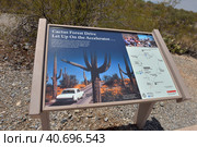 Saguaro National Park. Tourist center and tourist information (2016 год). Редакционное фото, фотограф Анна Кривицкая / Фотобанк Лори