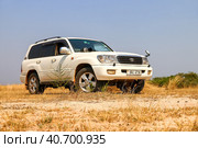 Toyota Land Cruiser 100 (2023 год). Редакционное фото, фотограф Art Konovalov / Фотобанк Лори