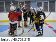 Training complex for hockey players, (2017 год). Редакционное фото, фотограф Анна Кривицкая / Фотобанк Лори
