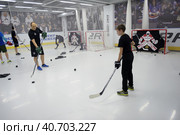 Training complex for hockey players, (2017 год). Редакционное фото, фотограф Анна Кривицкая / Фотобанк Лори