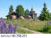 Храм-усыпальница в честь священномучеников Андрея Уфимского и Симона Охтенского. Единоверческий приход храма Тихвинской иконы Божией Матери на Анинском (Анненском) погосте. Кировский район Ленинградской области (2023 год). Стоковое фото, фотограф Румянцева Наталия / Фотобанк Лори