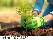 Hands plant seedlings in the ground. Generative AI. Стоковое AI-изображение, AI-художник Юрий Поздников / Фотобанк Лори