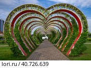 Арка в форме сердца в Цветочном парке. Грозный, Чеченская Республика (2023 год). Стоковое фото, фотограф Анна Карасева / Фотобанк Лори