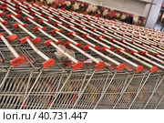 Russia, St. Petersburg, 10,12,2014 Empty carts for products in the supermarket. Редакционное фото, фотограф Анна Кривицкая / Фотобанк Лори
