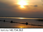Sunset over the forest lake. Стоковое фото, фотограф Анна Кривицкая / Фотобанк Лори