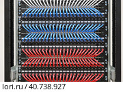 Подключение Ethernet коммутатора с помощью патч кордов к патч панелям в стойке слаботочного оборудования (2020 год). Редакционное фото, фотограф Нелик Дулатов / Фотобанк Лори