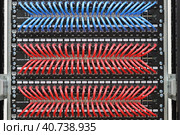 Подключение Ethernet коммутатора с помощью патч кордов к патч панелям в стойке слаботочного оборудования (2020 год). Редакционное фото, фотограф Нелик Дулатов / Фотобанк Лори