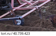 Harrow cultivator is suspended from minitractor while plowing potato field. Стоковое видео, видеограф Владимир Григорьев / Фотобанк Лори