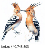 Two hoopoe birds. Illustration AI Generative. Стоковое AI-изображение, AI-художник Юлия Гапеенко / Фотобанк Лори