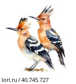 Two hoopoe birds. Illustration AI Generative. Стоковое AI-изображение, AI-художник Юлия Гапеенко / Фотобанк Лори