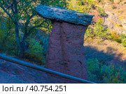 Unusual mushrooms are located in the valley of the Sotera River on the slope of one of the ravines. Стоковое фото, фотограф Анна Кривицкая / Фотобанк Лори