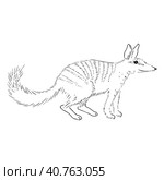 Древнее сумчатое животное. Животное Австралии. Animal sketch illustration with cute cartoon style. Стоковая иллюстрация, иллюстратор Ольга Головкина / Фотобанк Лори
