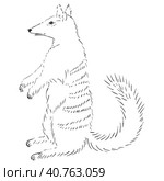 Древнее сумчатое животное. Sketch illustration with cute cartoon style. Стоковая иллюстрация, иллюстратор Ольга Головкина / Фотобанк Лори