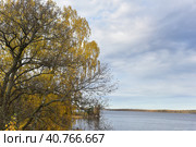 Mon repos is rocky landscape Park on the shore of the Bay of Protective Vyborg Bay, Northern part of city Vyborg in Leningrad region (2017 год). Стоковое фото, фотограф Анна Кривицкая / Фотобанк Лори