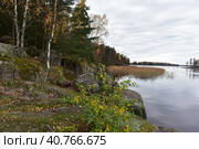 Mon repos is rocky landscape Park on the shore of the Bay of Protective Vyborg Bay, Northern part of city Vyborg in Leningrad region (2017 год). Стоковое фото, фотограф Анна Кривицкая / Фотобанк Лори