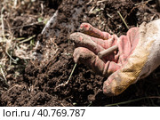 An old cartridge case from a Nagan revolver bullet in the hand, found during excavation of the earth in the field. War finds of the early 20th century. Стоковое фото, фотограф Коханова Наталья / Фотобанк Лори