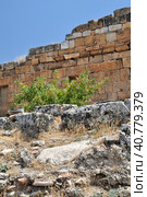 Ruins of ancient city, Hierapolis near Pamukkale, Turkey (2009 год). Стоковое фото, фотограф Анна Кривицкая / Фотобанк Лори