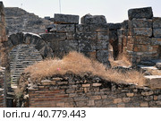 Hie rapolis Ancient City Ruin in Pa mukkale in Turkey (2009 год). Стоковое фото, фотограф Анна Кривицкая / Фотобанк Лори