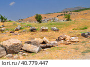 Hie rapolis Ancient City Ruin in Pa mukkale in Turkey (2009 год). Стоковое фото, фотограф Анна Кривицкая / Фотобанк Лори