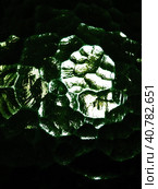 Corrugated green glass background. Abstract translucent volumetric texture pattern on the surface of a window. Liquid horror or planet Solaris. Night or space theme. Стоковое фото, фотограф Юлия Петровская / Фотобанк Лори