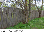 Старый деревянный забор в деревне. Old wooden fence on an abandoned overgrown summer cottage. Стоковое фото, фотограф Валерий Елистратов / Фотобанк Лори