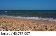 Sea shell beach in sunlight. Shimmering sea wave foams on sand Azov beach. Cerastoderma lamarcki, Hypanis colorata, Anadara inaequivalvis, Mytilus galloprovincialis, gastropods of bivalve molluscs. Стоковое видео, видеограф Юлия Петровская / Фотобанк Лори