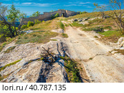 The remains of a medieval fortress city (according to other sources - a monastery) Tepe-Kermen, covering the upper part of the mountain in several tiers (2020 год). Стоковое фото, фотограф Анна Кривицкая / Фотобанк Лори