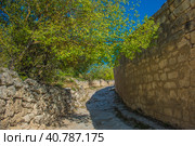 The remains of a medieval fortress city (according to other sources - a monastery) Tepe-Kermen, covering the upper part of the mountain in several tiers (2020 год). Редакционное фото, фотограф Анна Кривицкая / Фотобанк Лори
