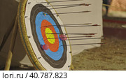 Target and arrows sticking out of it. Стоковое видео, видеограф Константин Шишкин / Фотобанк Лори