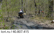A couple on a yellow ATV riding through mud and puddles in the woods. Back view. Extreme type of outdoor activities. Riding on a quad bike. Стоковое фото, фотограф Воловодов Владимир / Фотобанк Лори
