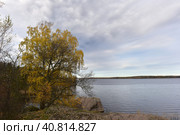 Mon repos is rocky landscape Park on the shore of the Bay of Protective Vyborg Bay, Northern part of city Vyborg in Leningrad region (2017 год). Стоковое фото, фотограф Анна Кривицкая / Фотобанк Лори