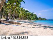 Sandy Beach with Palm trees, El Nido, Palawan, Philippines (2014 год). Стоковое фото, фотограф Igor Tichonow / Фотобанк Лори