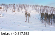 Горный Алтай зимой: Семинский хребет и Семинский перевал. Вид с воздуха. Altai mountains in winter: Seminsky Ridge and Seminsky Pass. Aerial view. Стоковое видео, видеограф Евгений Романов / Фотобанк Лори