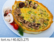 Delicious french kish cooked with cheese and mushrooms. Стоковое фото, фотограф Яков Филимонов / Фотобанк Лори