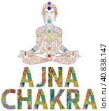Ajna Chakra. Vector zentangle object for decoration. Стоковая иллюстрация, иллюстратор Наталья Андрейченко / Фотобанк Лори